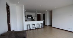 A Beautiful Apartment For Sale in Guachipelín