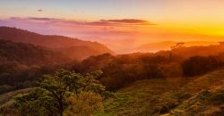 Two Lots in Monteverde