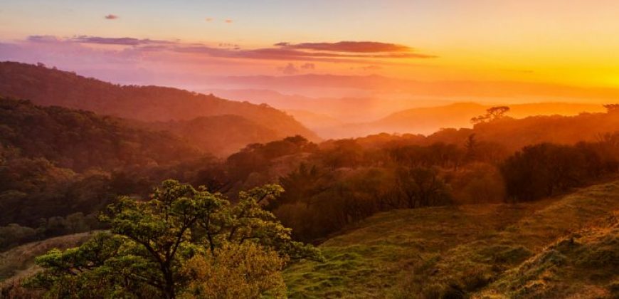 Two Lots in Monteverde