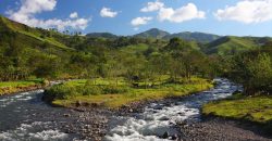Two Lots in Monteverde