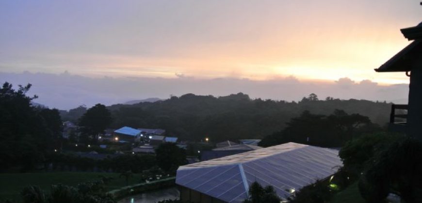 Two Lots in Monteverde