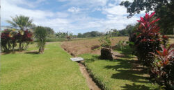 Finca in Guapiles