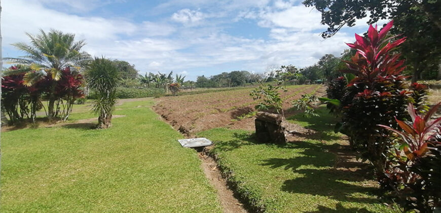 Finca in Guapiles