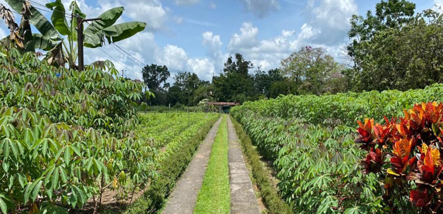 Finca in Guapiles