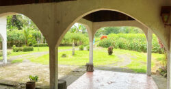 Finca in Guapiles