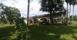 Finca in Guapiles