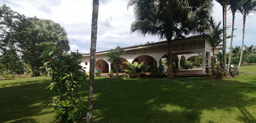 Finca in Guapiles