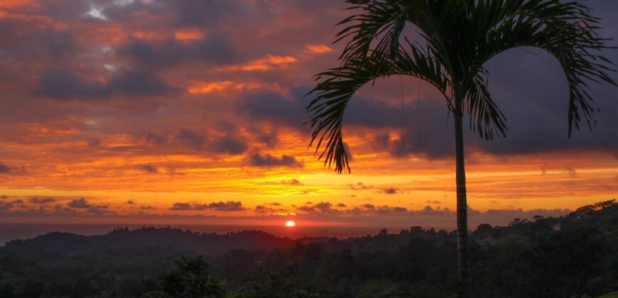 Ocean View Hotel Or Retreat Center Ojochal