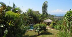 Dominical Bed & Breakfast With Cabin For Sale