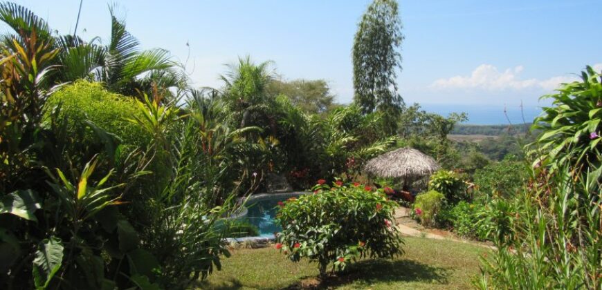 Dominical Bed & Breakfast With Cabin For Sale