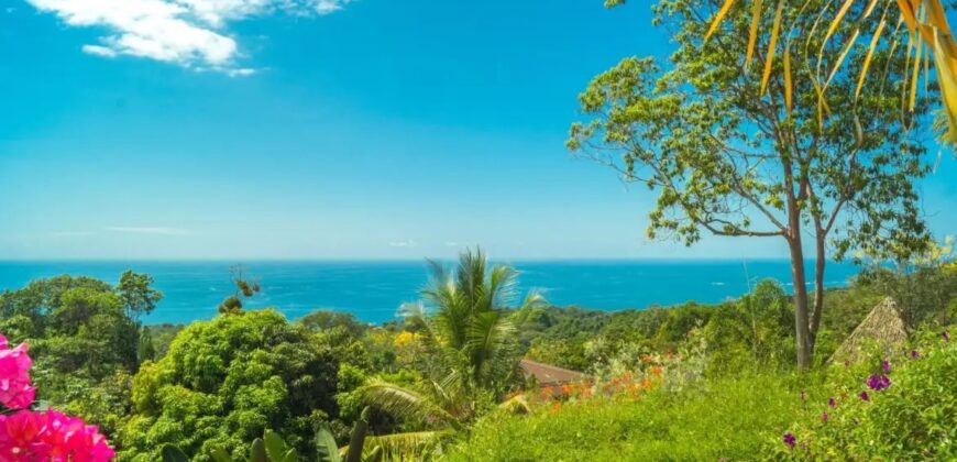 Exotic House in Ballena