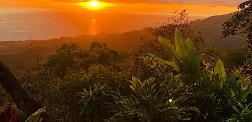 Beautiful Home with Land in Uvita