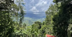 Mountain View Home In Dominical