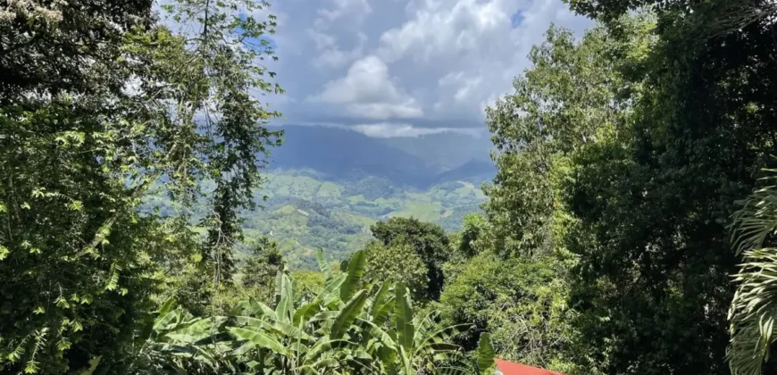 Mountain View Home In Dominical