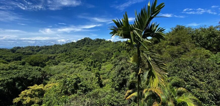 Ocean & Jungle View Home For Sale Dominical