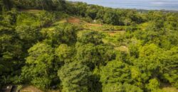 Mountain View Property for Sale Uvita