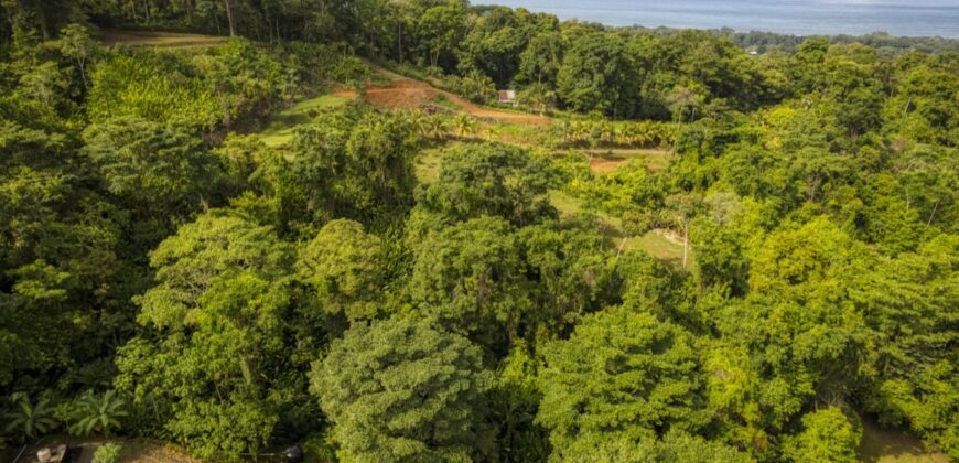 Mountain View Property for Sale Uvita
