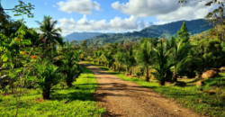 Mountain View Property for Sale Uvita