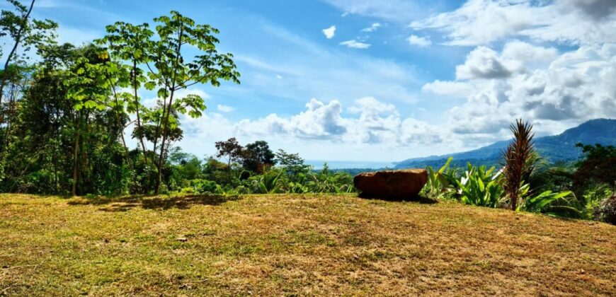 Mountain View Property for Sale Uvita