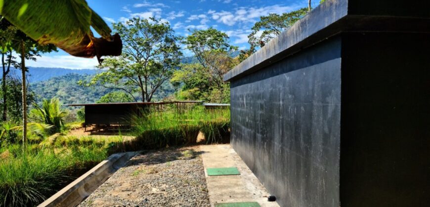 Mountain View Property for Sale Uvita