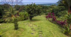 Large Rental Property For Sale Matapalo