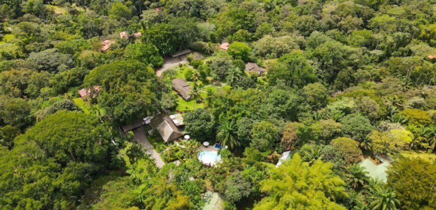 Hotel Rental Property For Sale Ojochal
