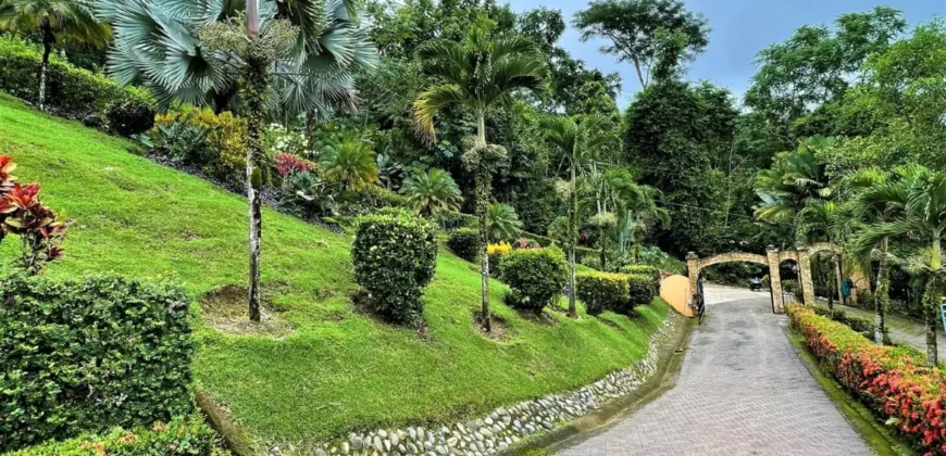 Ocean Views in Uvita Bahia Ballena