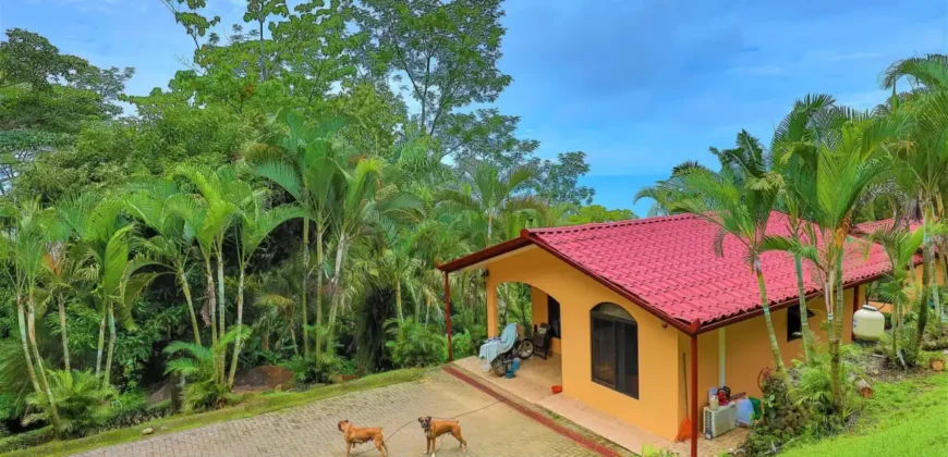 Ocean Views in Uvita Bahia Ballena