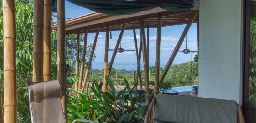 Ocean View Hotel Plus Two Homes Uvita