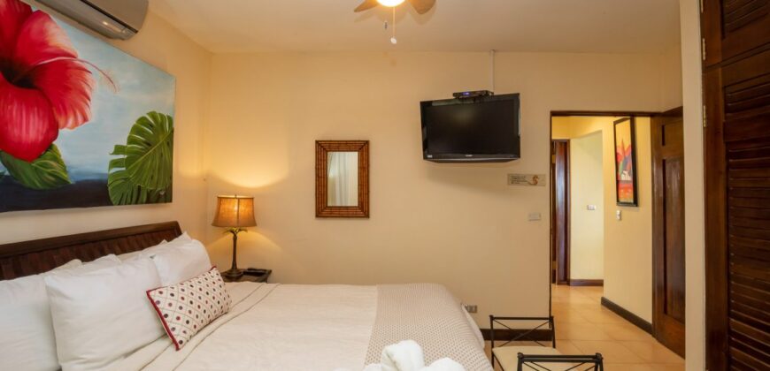 Tropical Luxury Villa for Sale Dominical