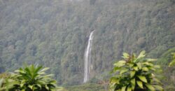11 Acre Farm for Sale Uvita