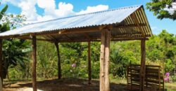 Rustic Cabin In Costa Rica