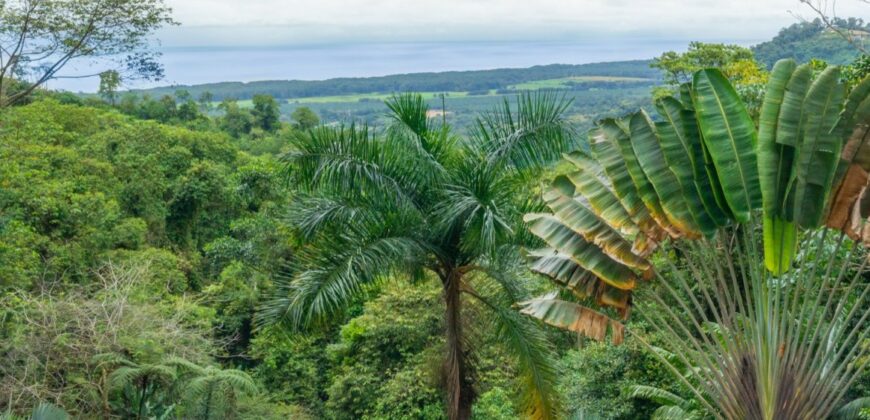 Ocean View Luxury Home for Sale Portalon