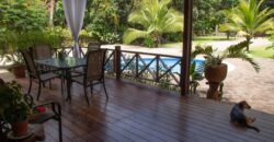 New Home For Sale in Dominical