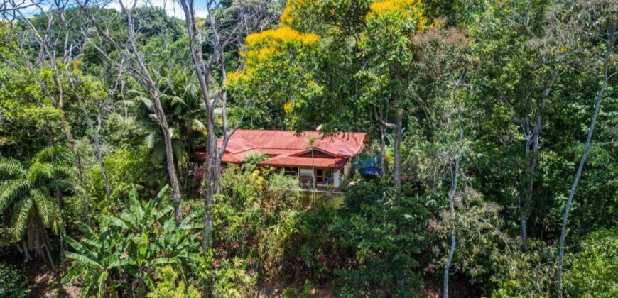 Home and Guest House for Sale Lagunas