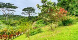 Ocean View Home in Lagunas Costa Rica