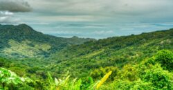 Ocean View Home in Lagunas Costa Rica