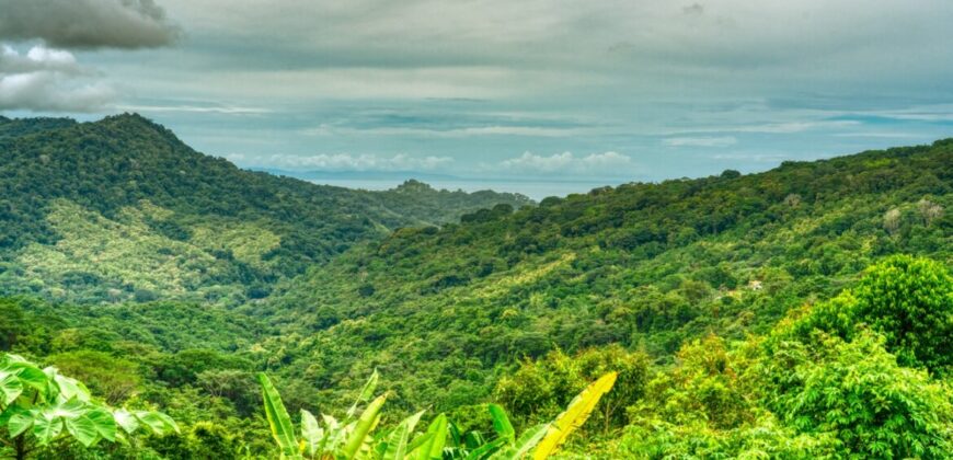 Ocean View Home in Lagunas Costa Rica