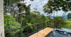 Large House With Infinity Pool in Uvita