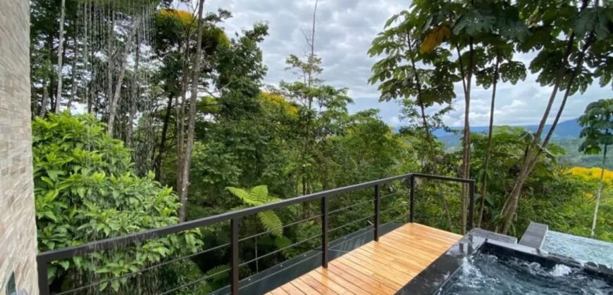 Large House With Infinity Pool in Uvita