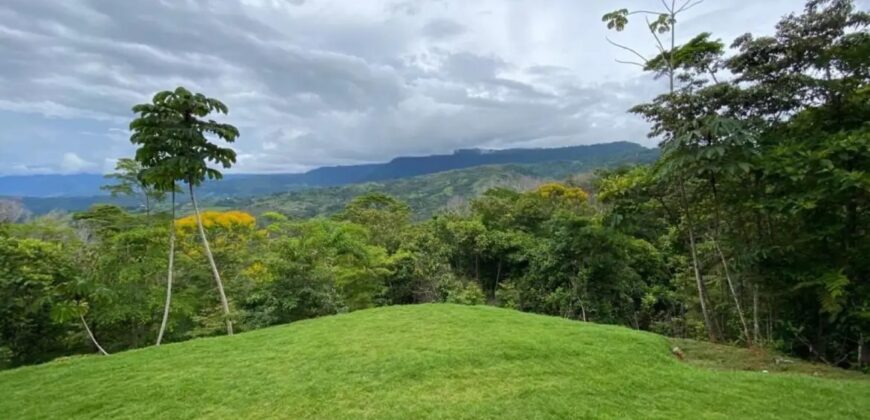 Large House With Infinity Pool in Uvita