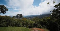 Large House With Infinity Pool in Uvita