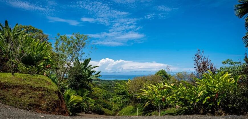 Uvita Luxury Home for Sale