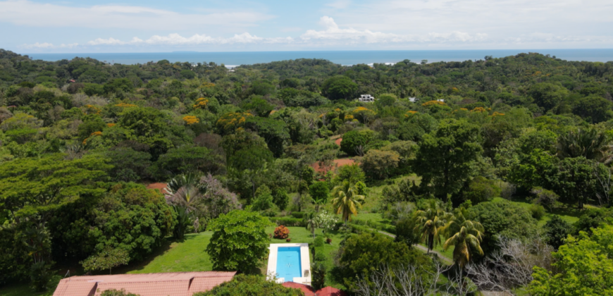 Ocean View Estate in Ojochal