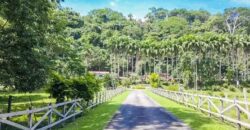 Prime Development Property for Sale Dominical