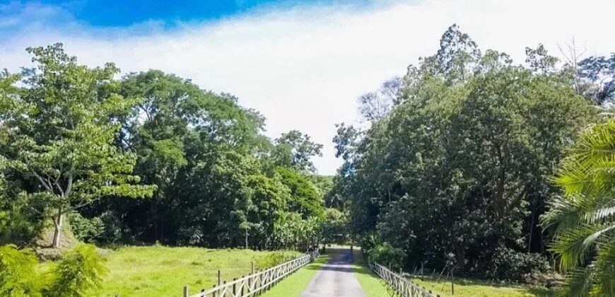 Prime Development Property for Sale Dominical