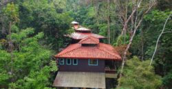 7 Bedroom Jungle Property for Sale Dominical