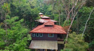 7 Bedroom Jungle Property for Sale Dominical