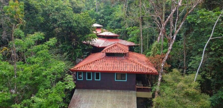 7 Bedroom Jungle Property for Sale Dominical