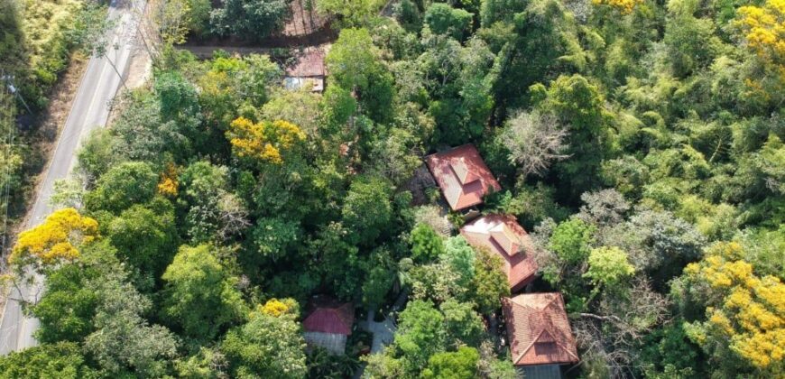 7 Bedroom Jungle Property for Sale Dominical